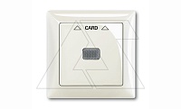 Basic 55 - Лицевая панель для выключателя с ключом-карточкой механизм 2025U (шале-белый)